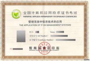 計(jì)算機(jī)應(yīng)用技術(shù)專(zhuān)業(yè)自考學(xué)習(xí)指南 掌握核心技能，開(kāi)啟職業(yè)發(fā)展的新篇章